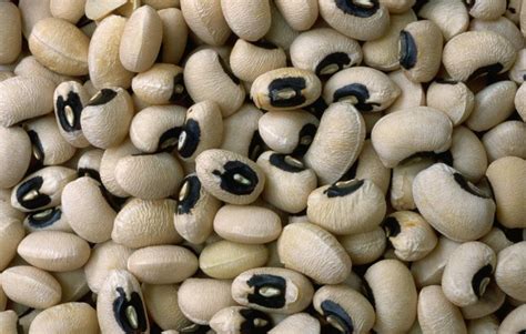 How does Blackeye Peas fit into your Daily Goals - calories, carbs, nutrition
