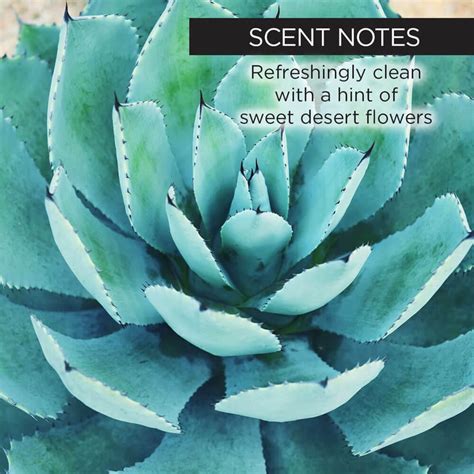 How does Blue Agave fit into your Daily Goals - calories, carbs, nutrition