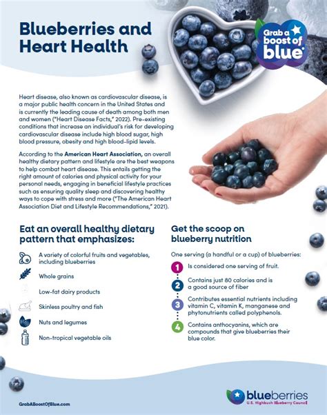 How does Blueberry Juice fit into your Daily Goals - calories, carbs, nutrition
