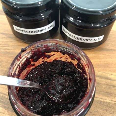 How does Boysenberry Jam fit into your Daily Goals - calories, carbs, nutrition