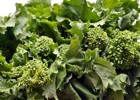 How does Broccoli Rabe (16207.3) fit into your Daily Goals - calories, carbs, nutrition