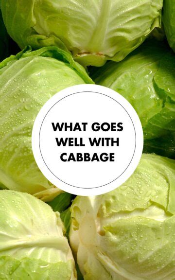 How does Cabbage fit into your Daily Goals - calories, carbs, nutrition