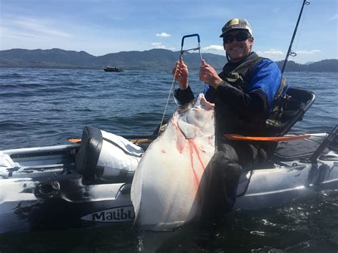 How does Can't Beet My Halibut fit into your Daily Goals - calories, carbs, nutrition