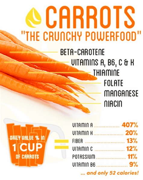 How does Carrot (Large) fit into your Daily Goals - calories, carbs, nutrition