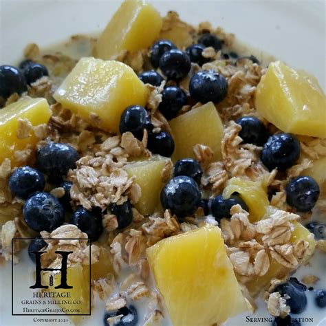 How does Cereal Oatmeal Pineapple & Coconut 6 oz fit into your Daily Goals - calories, carbs, nutrition