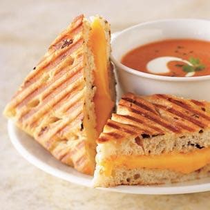 How does Cheddar Cheese Panini fit into your Daily Goals - calories, carbs, nutrition