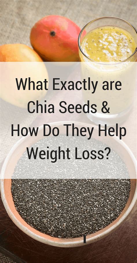 How does Chia Seeds fit into your Daily Goals - calories, carbs, nutrition