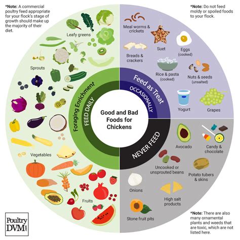 How does Chicken French fit into your Daily Goals - calories, carbs, nutrition