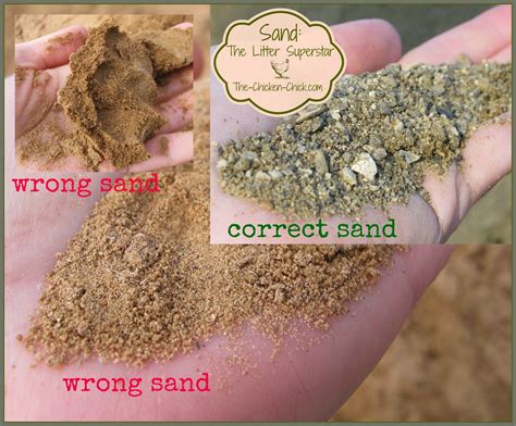 How does Chicken Sand fit into your Daily Goals - calories, carbs, nutrition