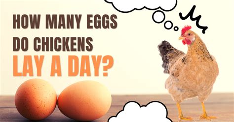 How does Chicken a l'Orange fit into your Daily Goals - calories, carbs, nutrition