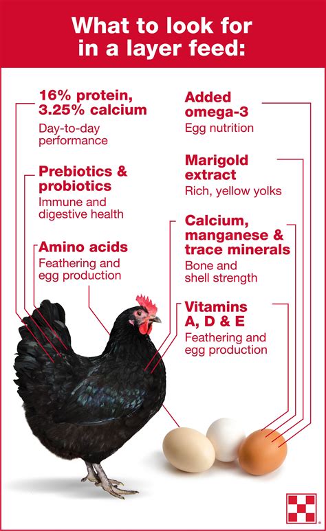 How does Chicken in Can fit into your Daily Goals - calories, carbs, nutrition