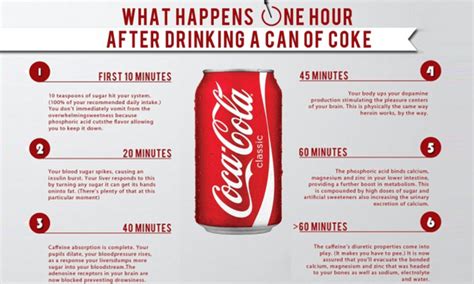 How does Coca Cola fit into your Daily Goals - calories, carbs, nutrition