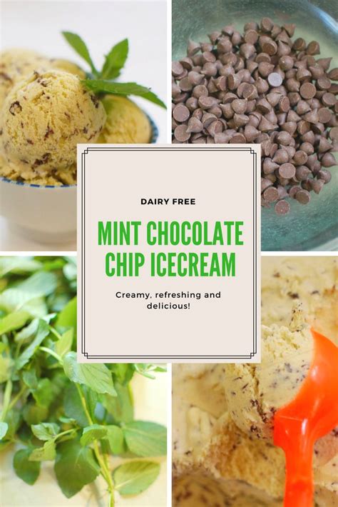 How does Coconut Mint Chip fit into your Daily Goals - calories, carbs, nutrition