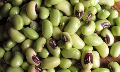 How does Cowpeas (blackeyes), immature seeds, raw fit into your Daily Goals - calories, carbs, nutrition