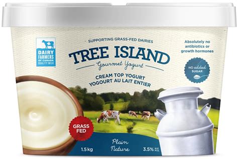 How does Cream Top Plain Yogurt fit into your Daily Goals - calories, carbs, nutrition