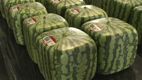 How does Cubed Watermelon (88.0) fit into your Daily Goals - calories, carbs, nutrition