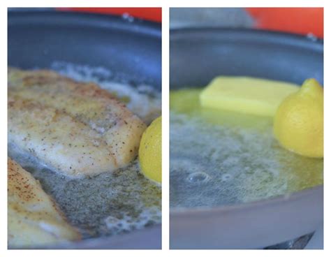 How does Dilled Orange Roughy with Lemon Caper Sauce fit into your Daily Goals - calories, carbs, nutrition