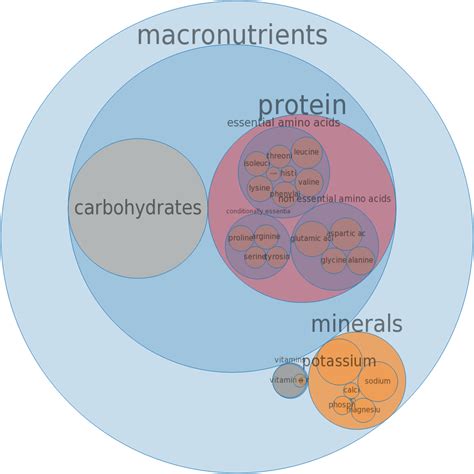 How does Dock - Cooked, boiled, drained, with salt fit into your Daily Goals - calories, carbs, nutrition