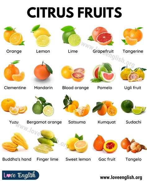 How does Dual Citrus Combo fit into your Daily Goals - calories, carbs, nutrition