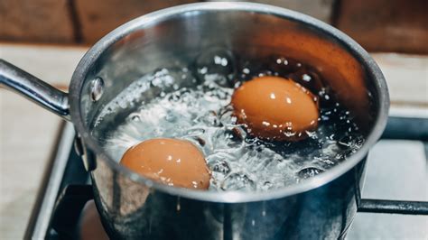 How does Egg Boiled fit into your Daily Goals - calories, carbs, nutrition