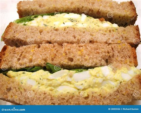 How does Egg Salad on Whole Wheat fit into your Daily Goals - calories, carbs, nutrition