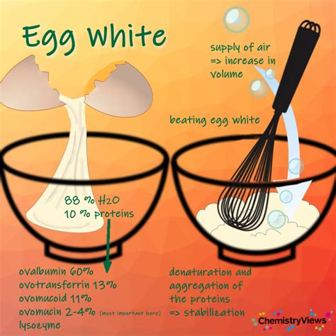 How does Egg White & Cheese Biscuit fit into your Daily Goals - calories, carbs, nutrition