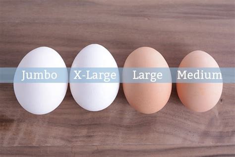 How does Eggs, Jumbo fit into your Daily Goals - calories, carbs, nutrition