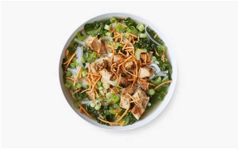 How does Elements - Chicken and Rice Noodle Broth Bowl fit into your Daily Goals - calories, carbs, nutrition