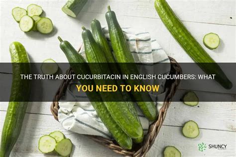 How does English Cucumbers fit into your Daily Goals - calories, carbs, nutrition