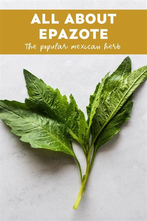 How does Epazote, raw fit into your Daily Goals - calories, carbs, nutrition