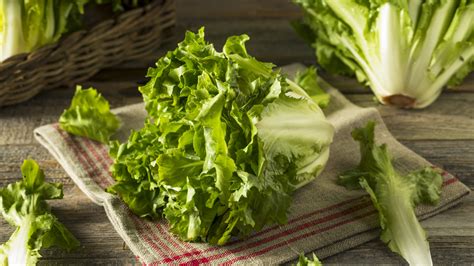 How does Escarole, Romaine & Red Leaf Lettuce fit into your Daily Goals - calories, carbs, nutrition