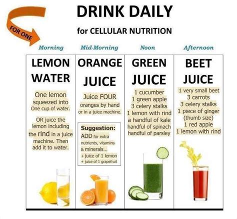 How does Essential Vegetable Juice fit into your Daily Goals - calories, carbs, nutrition