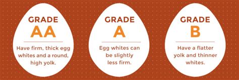 How does Extra Large Grade A Eggs fit into your Daily Goals - calories, carbs, nutrition