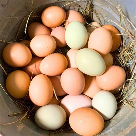 How does Farm Fresh Eggs fit into your Daily Goals - calories, carbs, nutrition