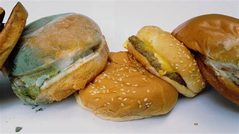 How does Fast foods, cheeseburger; double, regular patty; double decker bun with condiments and special sauce fit into your Daily Goals - calories, carbs, nutrition