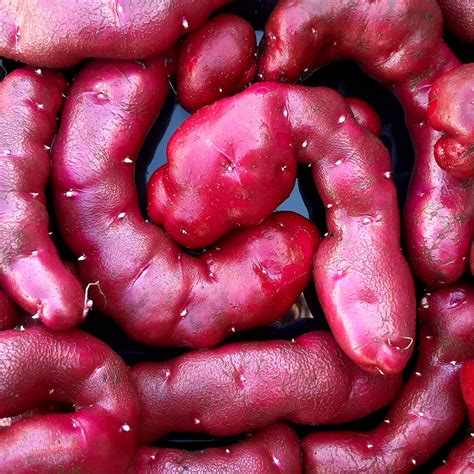 How does Fingerling Potatoes with Pumpkin Seeds fit into your Daily Goals - calories, carbs, nutrition
