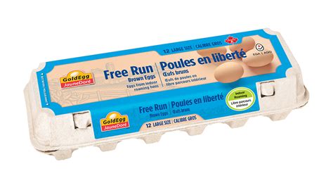 How does Free Run Eggs fit into your Daily Goals - calories, carbs, nutrition