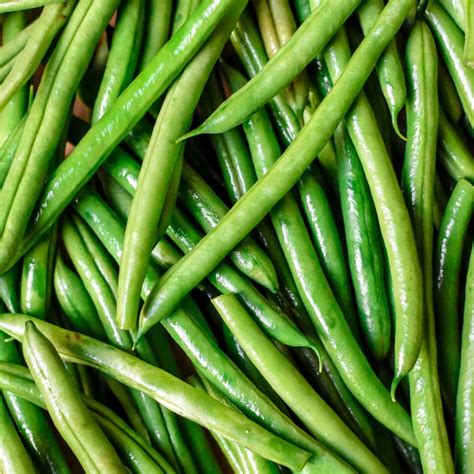 How does French Beans (66237.0) fit into your Daily Goals - calories, carbs, nutrition