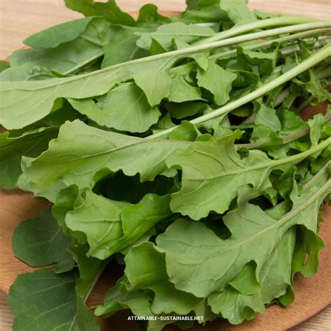 How does Fresh Arugula Leaves fit into your Daily Goals - calories, carbs, nutrition