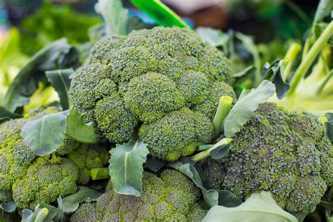 How does Fresh Broccoli fit into your Daily Goals - calories, carbs, nutrition