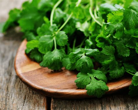 How does Fresh Coriander fit into your Daily Goals - calories, carbs, nutrition