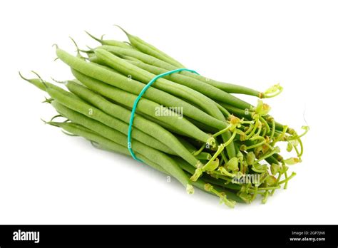 How does Fresh French Green Beans (66237.0) fit into your Daily Goals - calories, carbs, nutrition