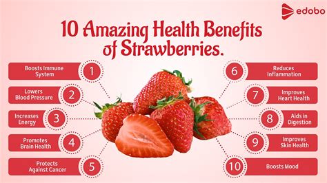 How does Fresh Fruit Strawberry-lg fit into your Daily Goals - calories, carbs, nutrition