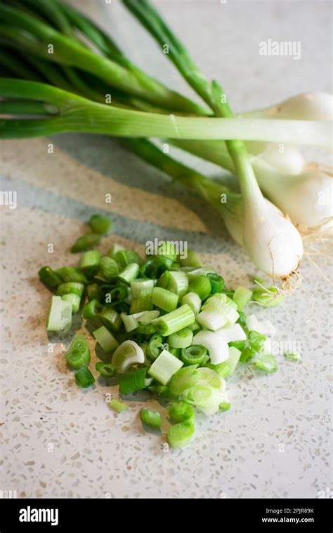 How does Fresh Green Onions Chopped (63606.0) fit into your Daily Goals - calories, carbs, nutrition