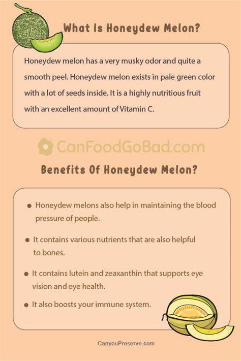 How does Fresh Honeydew-lg fit into your Daily Goals - calories, carbs, nutrition