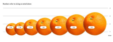 How does Fresh Orange (64062.0) fit into your Daily Goals - calories, carbs, nutrition