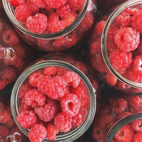 How does Fresh Raspberries (29187.6) fit into your Daily Goals - calories, carbs, nutrition