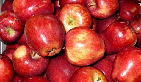 How does Fresh Red Delicious Apples (78386.4) fit into your Daily Goals - calories, carbs, nutrition