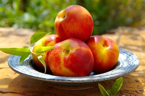 How does Fresh Whole Nectarine (44283.1) fit into your Daily Goals - calories, carbs, nutrition