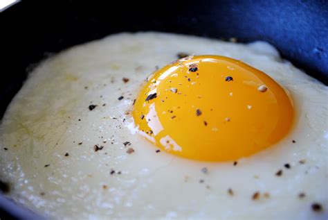 How does Fried Egg on a Biscuit fit into your Daily Goals - calories, carbs, nutrition